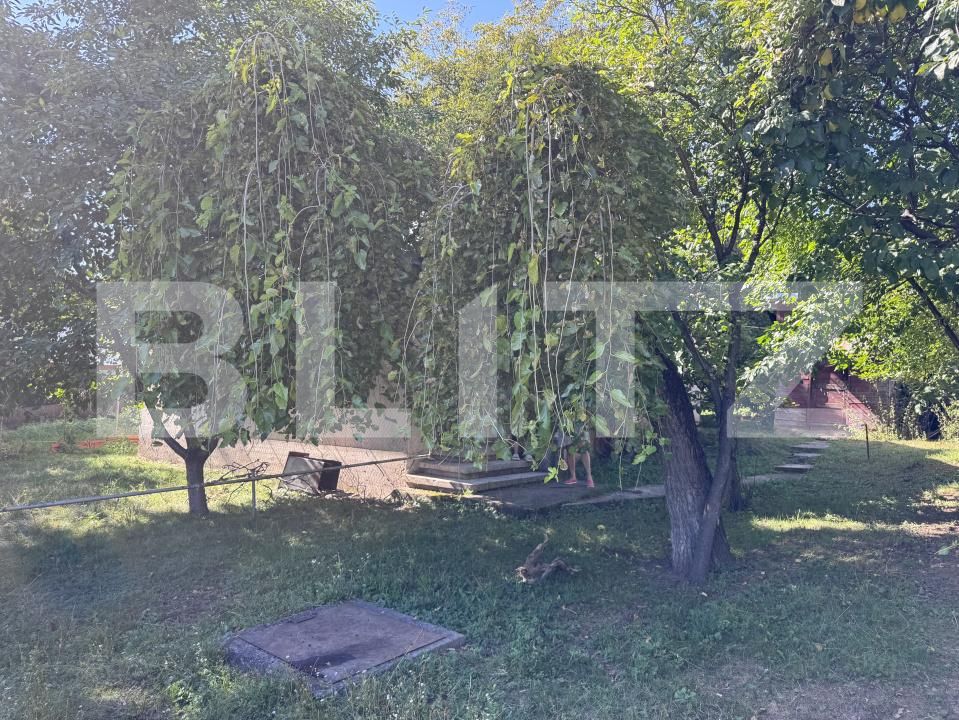 Teren de vânzare Cornu de Jos (Cornu) - 205234TV | BLITZ Ploieşti | Poza4