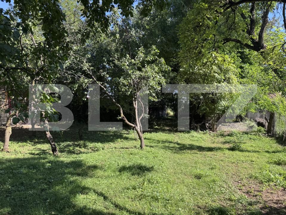 Teren de vânzare Cornu de Jos (Cornu) - 205234TV | BLITZ Ploieşti | Poza3