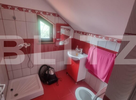 Casa de vânzare 4 camere Draganesti - 205942CV | BLITZ Ploieşti | Poza7