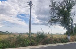 Teren intravilan, 5.000 mp, Mizil Industrial/Rezidential