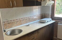 Apartament 2 camere, 49 mp, oraa Busteni