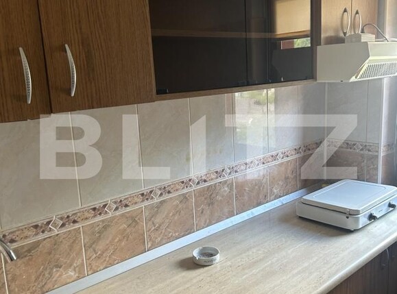 Apartament de închiriat 2 camere Busteni - 206019AI | BLITZ Ploieşti | Poza17