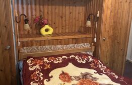 Proprietate de vanzare, 410 mp, zona Busteni 