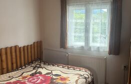 Proprietate de vanzare, 410 mp, zona Busteni 