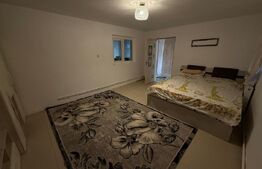 Casa individuala, 267.28 mp, zona Transilvaniei - Afi