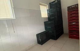 Casa P+1, 738 mp, teren 2000 mp, zona Baicoi 