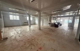 Casa P+1, 738 mp, teren 2000 mp, zona Baicoi 