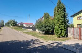 Teren intravilan, 3.200 mp, zona Zahanaua