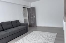 Apartament 2 camere, 50 mp, zona Republicii Catedrala