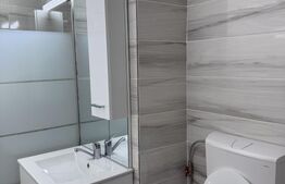 Apartament 2 camere, 50 mp, zona Republicii Catedrala