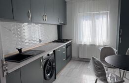 Apartament 2 camere, 50 mp, zona Republicii Catedrala