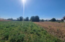 Teren de vanzare, 5.086 mp, zona Târgșoru Vechi