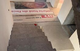 Casa de vanzare, 377 mp, 1.338 mp teren, zona Strejnic