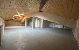 Casa de vanzare, 377 mp, 1.338 mp teren, zona Strejnic