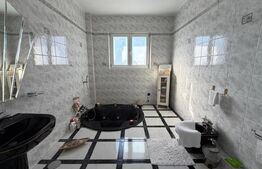 Casa premium, ultracentrala  cu piscina si 1249 mp teren. 