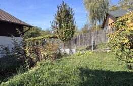 TEREN + CASĂ | COSMIANA DE JOS (PRAHOVA) 