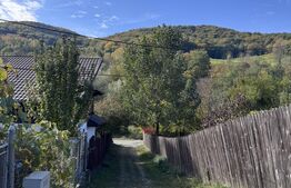 TEREN + CASĂ | COSMIANA DE JOS (PRAHOVA) 