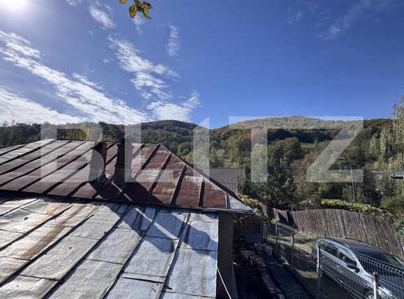 Casa de vânzare 3 camere Cosmina de Jos - 208043CV | BLITZ Ploieşti | Poza23