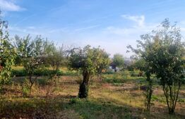 Teren de vanzare, 19.155 mp, zona Valea Călugărească
