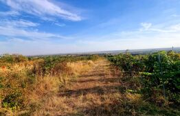 Teren de vanzare, 19.155 mp, zona Valea Călugărească