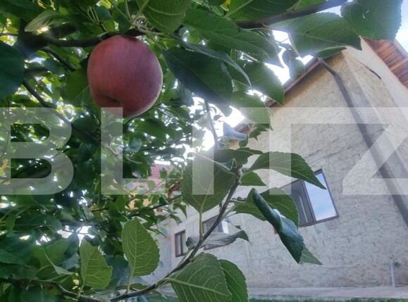 Casa de vânzare 4 camere Draganesti - 208139CV | BLITZ Ploieşti | Poza20
