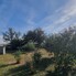 Casa de vânzare 4 camere Draganesti - 208139CV - Poza 1 din 24 | BLITZ Ploieşti | Poza22
