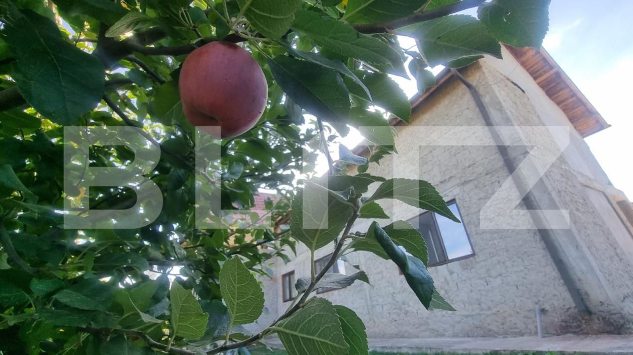 Casa de vânzare 4 camere Draganesti - 208139CV | BLITZ Ploieşti | Poza20