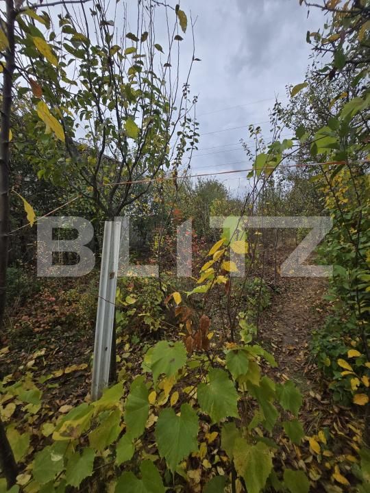Teren de vânzare Bucov - 208357TV | BLITZ Ploieşti | Poza3