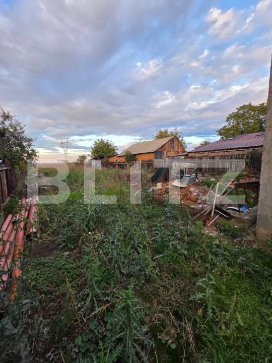 Casa de vânzare 4 camere Brazii de Sus - 208579CV | BLITZ Ploieşti | Poza13