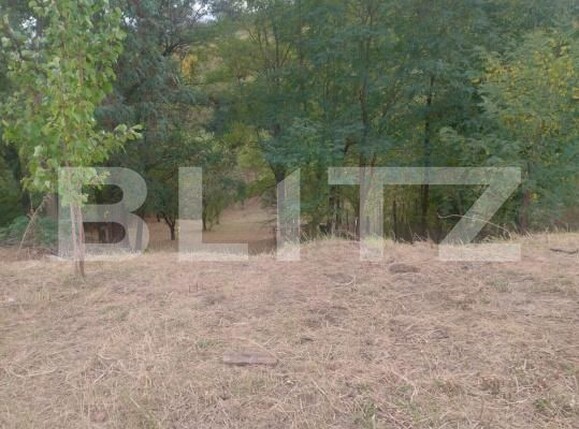 Teren de vânzare Valenii de Munte - 208835TV | BLITZ Ploieşti | Poza1