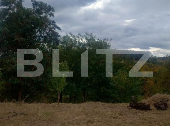 Teren de vânzare Valenii de Munte - 208835TV | BLITZ Ploieşti | Poza5