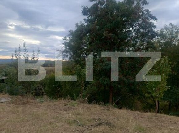 Teren de vânzare Valenii de Munte - 208835TV | BLITZ Ploieşti | Poza3