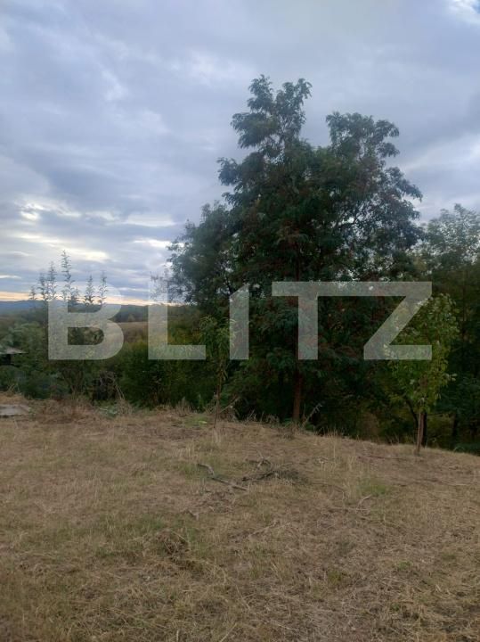 Teren de vânzare Valenii de Munte - 208835TV | BLITZ Ploieşti | Poza3