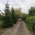 Casa de vânzare 6 camere Valea Calugareasca - 208908CV - Poza 1 din 19 | BLITZ Ploieşti | Poza15