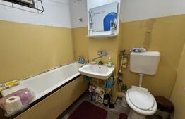 Apartament 2 camere,  1977, Cantacuzino. 