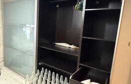 Apartament de vanzare, Malu Rosu