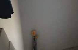 Teren cu constructie Lipanesti, Satu Nou
