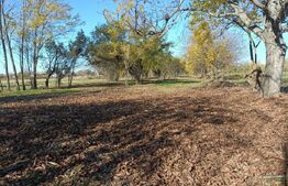 Casa de vanzare, 120 mp, teren 9000 mp, zona Habud