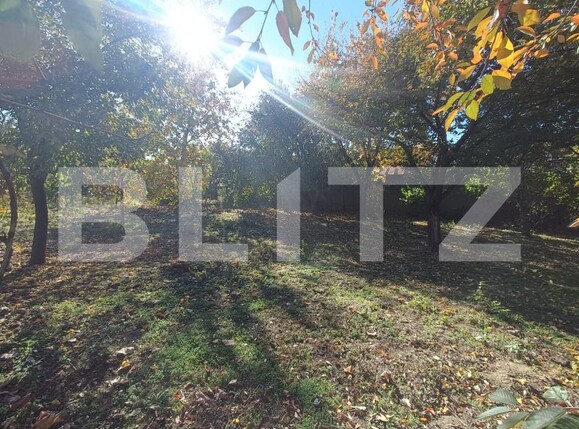 Casa de vânzare 3 camere Habud - 209181CV | BLITZ Ploieşti | Poza14