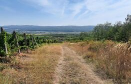 Teren de vânzare Plopu, Ploieşti