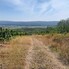 Teren de vânzare Plopu - 209326TV - Poza 1 din 4 | BLITZ Ploieşti | Poza4