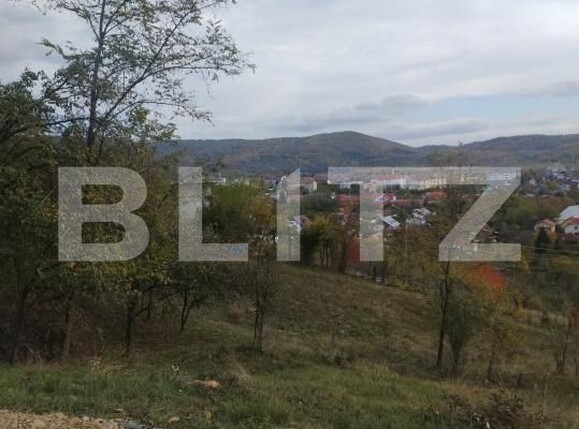 Teren de vânzare Valenii de Munte - 209356TV | BLITZ Ploieşti | Poza4