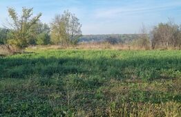 Teren de vânzare Nisipoasa, Ploieşti