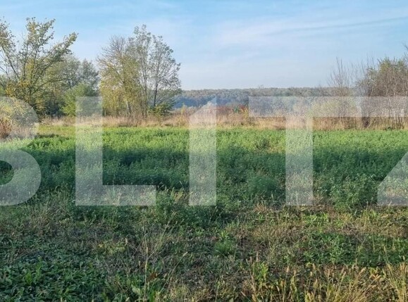 Teren de vânzare Nisipoasa - 209417TV | BLITZ Ploieşti | Poza1