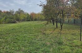 Teren de vanzare, 811 mp, zona Brebu Megiesesc