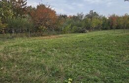Teren de vanzare, 811 mp, zona Brebu Megiesesc