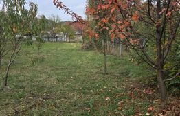Teren de vanzare, 811 mp, zona Brebu Megiesesc
