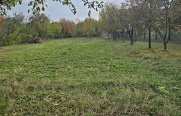 Teren de vânzare Brebu, Ploieşti