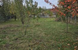 Teren de vanzare, 811 mp, zona Brebu Megiesesc