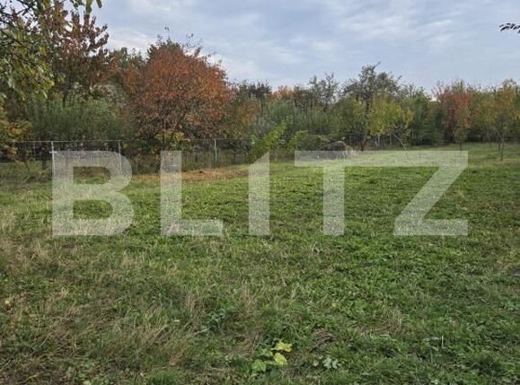 Teren de vânzare Brebu - 209428TV | BLITZ Ploieşti | Poza3
